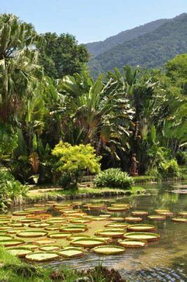  Jardim Botânico do Rio de Janeiro: Oaza zieleni w samym sercu miasta!