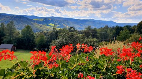  Sprawne Rącze w Kragga Kama: Wspaniałe Widoki i Skarabeusze